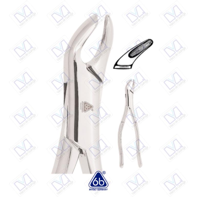 Forcep #151 6B - Depósito Dental VQ