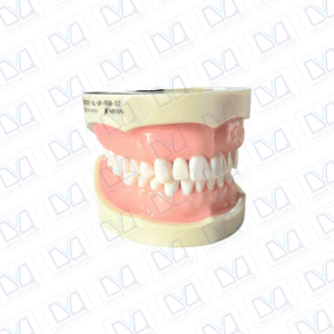Tipodonto Nissin M32